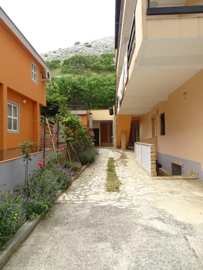 Apartment Zana