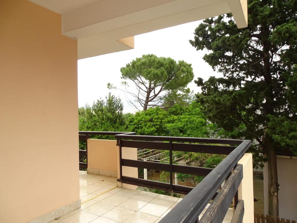 Zana Apartment Stan Trigraci